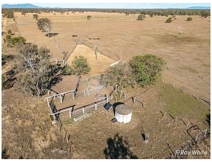 253 Hunt Road, Alton Downs, QLD 4702, 0房, 0浴, 乡村住宅