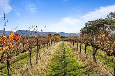432 Wallaces Road, Moyston, VIC 3377, 0 slaapkamers, 0 badkamers, Lifestyle Property