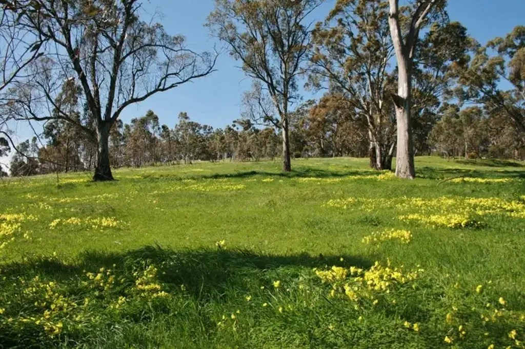 Penwortham VIEWS TO DIE FOR – A Rare Opportunity in the Heart of Clare Valley