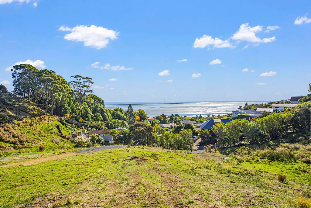 Atawhai DREAM BUILD SITE WITH PANORAMIC VIEWS