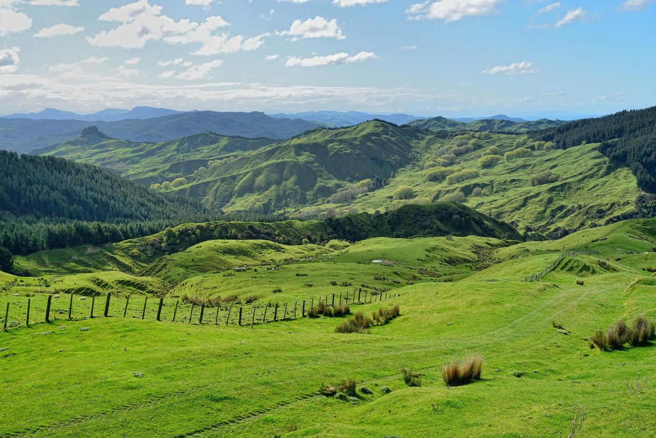 1791 Waingake Road, Waingake, Gisborne, 0房, 0浴