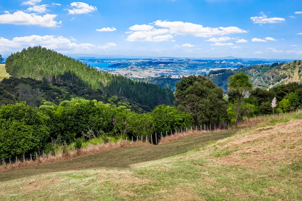 Matakana Opportunity Knocks – Motivated Vendor!