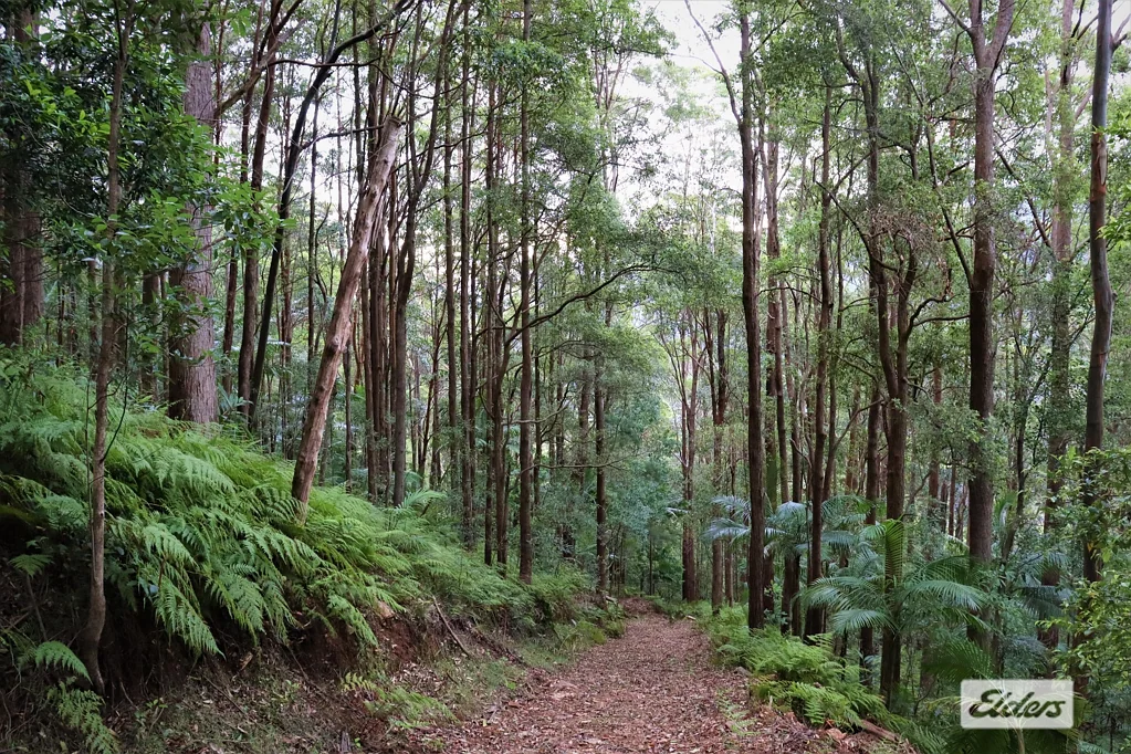 Lot 1 Pine Log Road, Doon Doon, NSW 2484