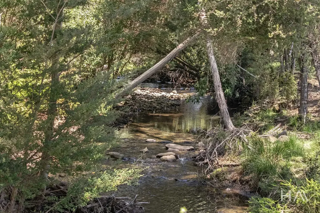 Deddington Absolute Peace! Where Nature, Space, And Opportunity Meet.