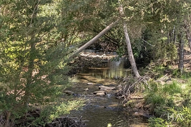 Deddington  Absolute Peace! Where Nature, Space, And Opportunity Meet.