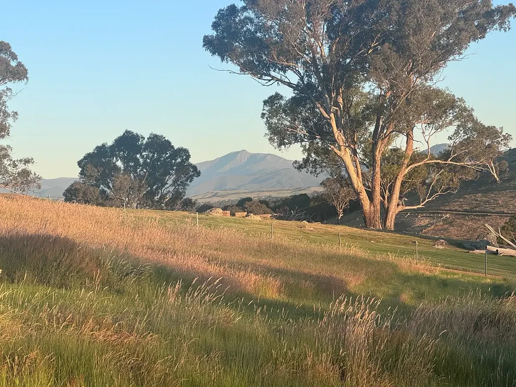 Mansfield Dress circle location in Stoneleigh Park!