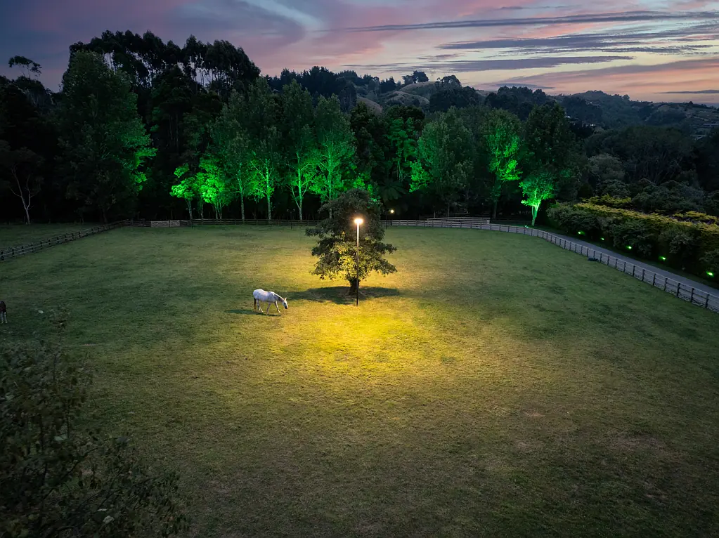 Paraparaumu 5 Bedroom Stylish Serenity, Sublime Setting
