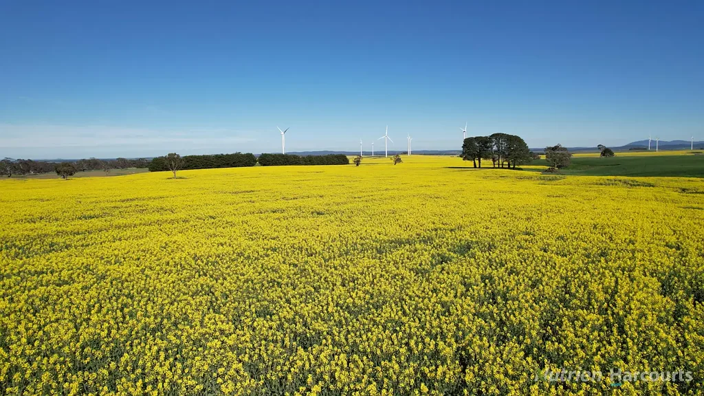 Ercildoune Waubra/Ercildoune District Mixed Farming Beauty - 194.13 ha (479 acres)