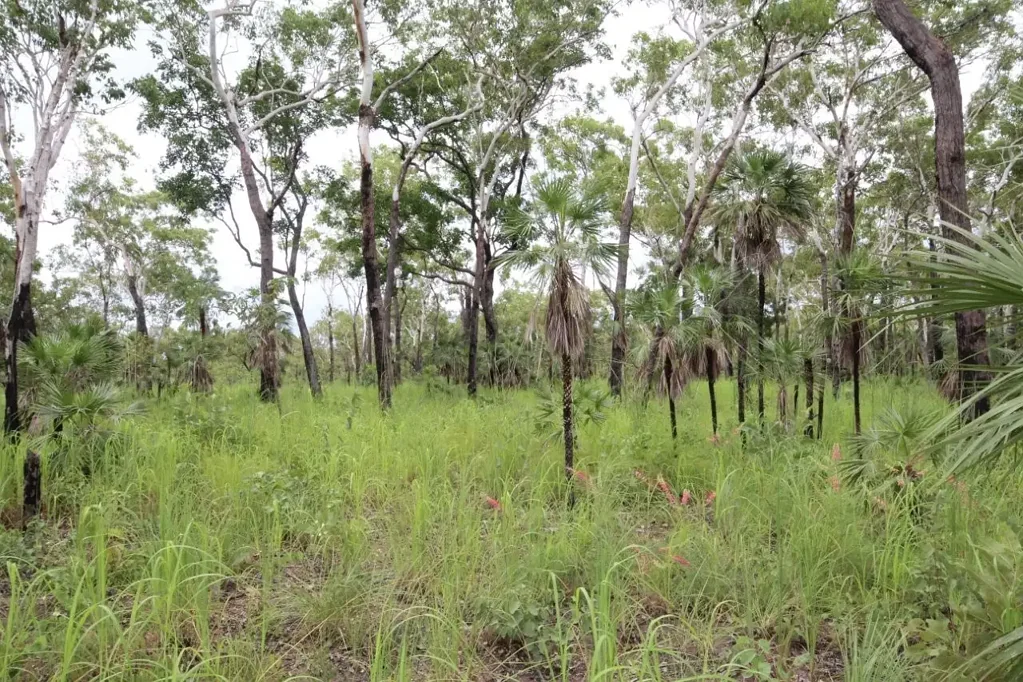Charlotte 320 Acres awaiting a new owner!