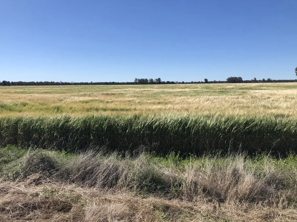 Goondiwindi  Goondiwindi - Opportunity Awaits