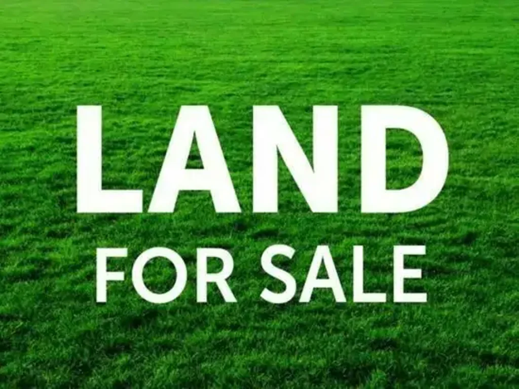 Oakville 注册平坦土地 便捷交通配套 自由定制家园 毗邻自然丛林 Registed and Flat Land:-Oppournity Not To Be Missed