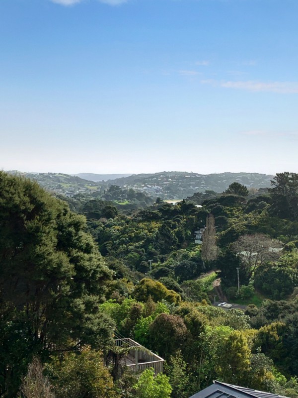 Hauraki Gulf Islands