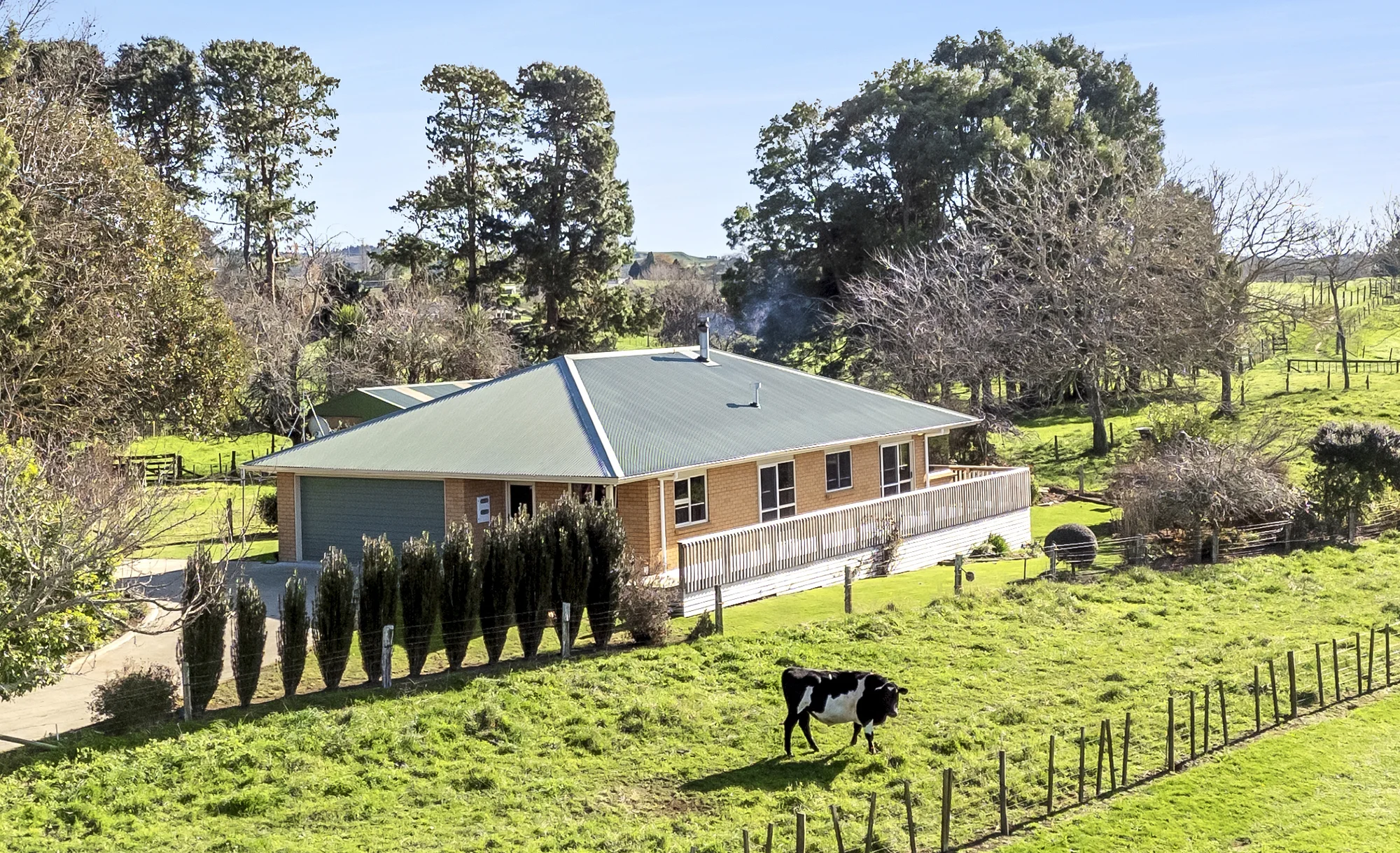 Putaruru Land Bank and Live the Dream