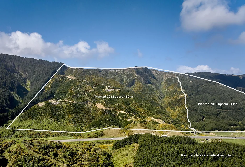 Pauatahanui Forestry investment, weekend escape