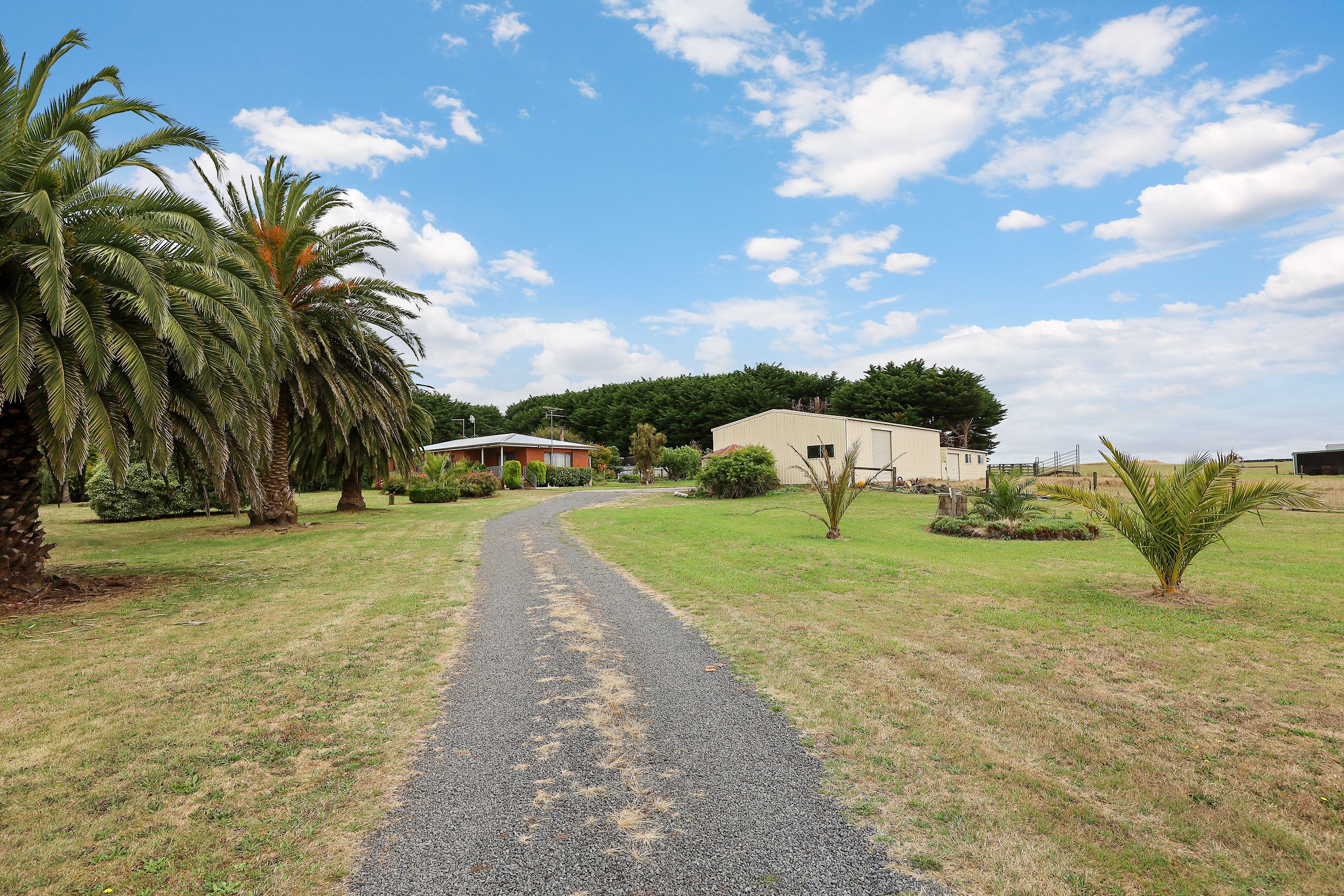 385 CORADJIL RD, SIMPSON VIC 3266, 0房, 0浴, House