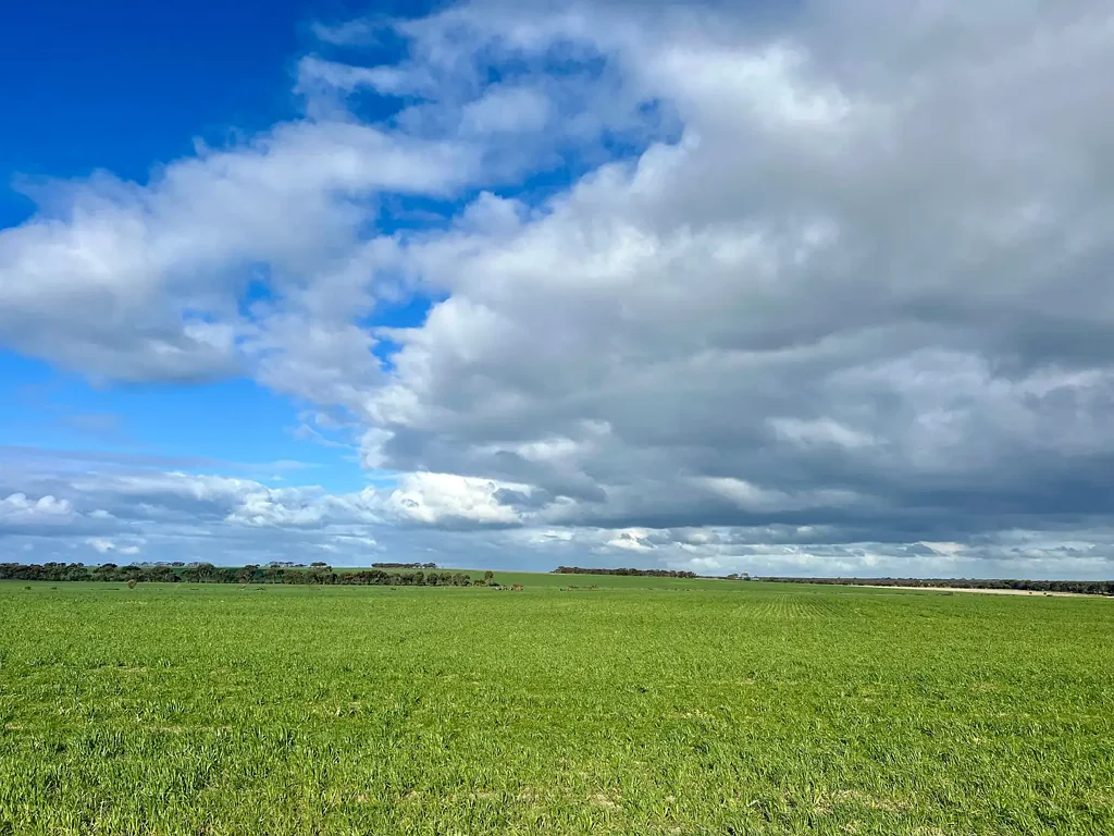 Pingrup 409 Dixon Road | PINGRUP