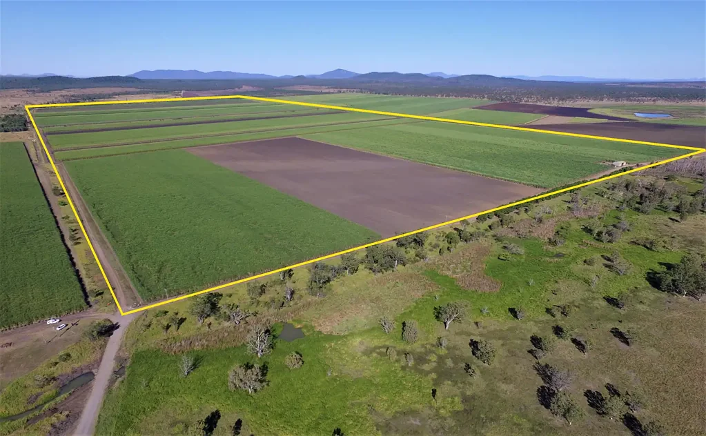Fredericksfield Inkerman Cane Farm Ready for inspection.