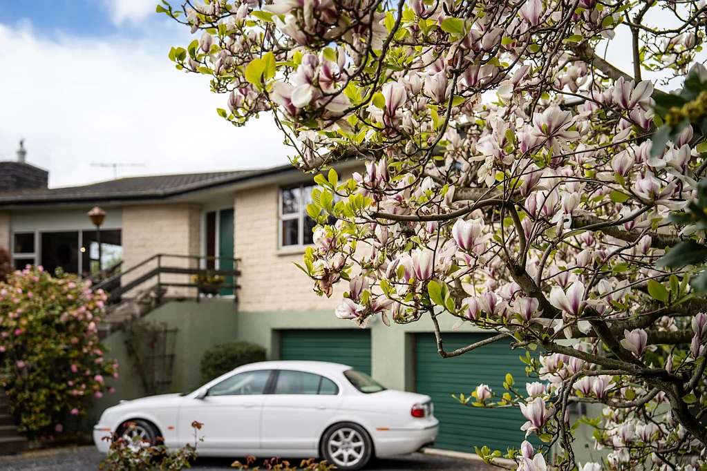 Clinton and Surrounds 4房  Classy and clever in Clinton