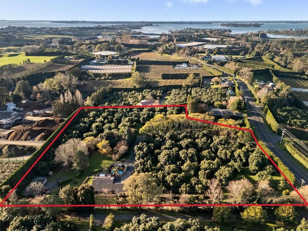 Whakamarama Plummers Point Income and Lifestyle