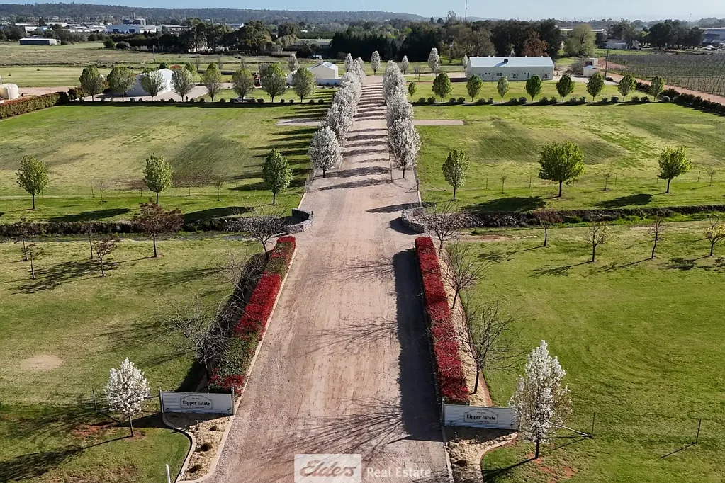 Yoogali 10,361m2 - Perfect size when 4,000m2 (approx. 1 acre), is not sufficient!