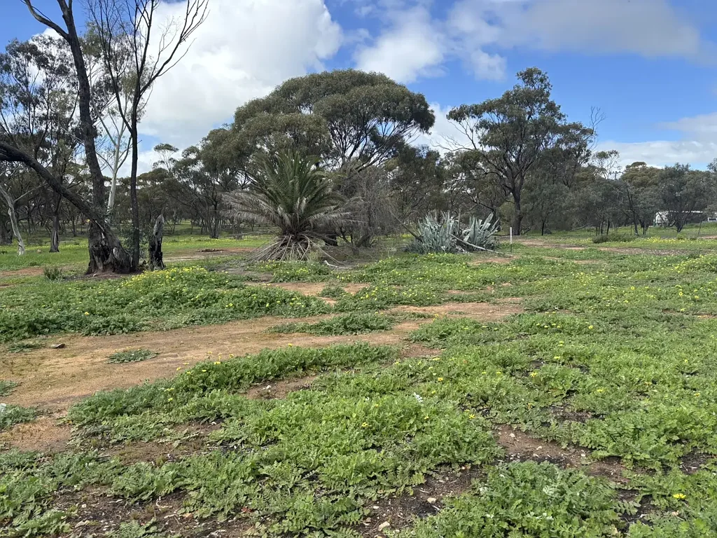 3 Scaddan Street, Goomalling, WA 6460