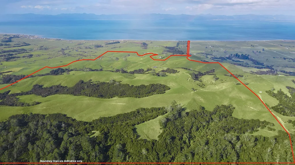 Kaiaua Grazing, fishing, or investment with sea views
