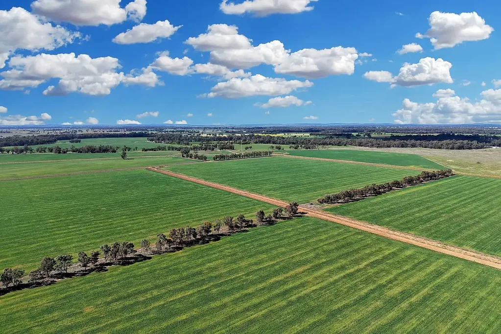 Forbes DEVELOPED IRRIGATION POWERHOUSE - Suits Summer + Winter crops!