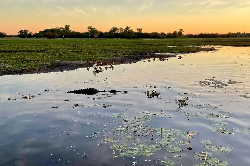 385 Bees Creek Road, Bees Creek, NT 822