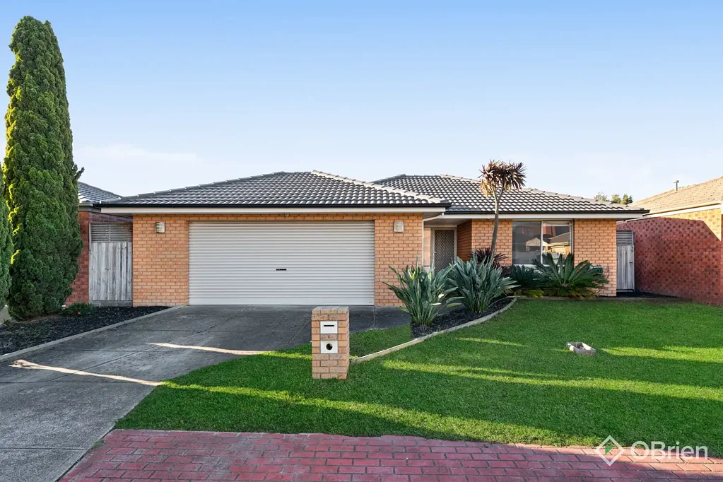 Modern 3-Bedroom Home in Quiet Cranbourne East Location