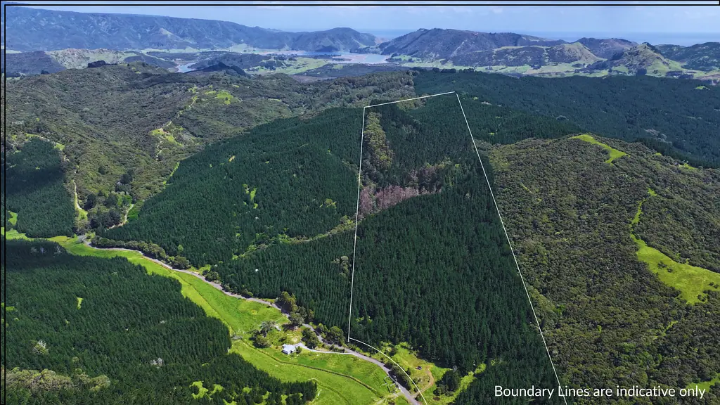 Herekino Herekino Hills Lifestyle, Forestry, Coastal Bliss