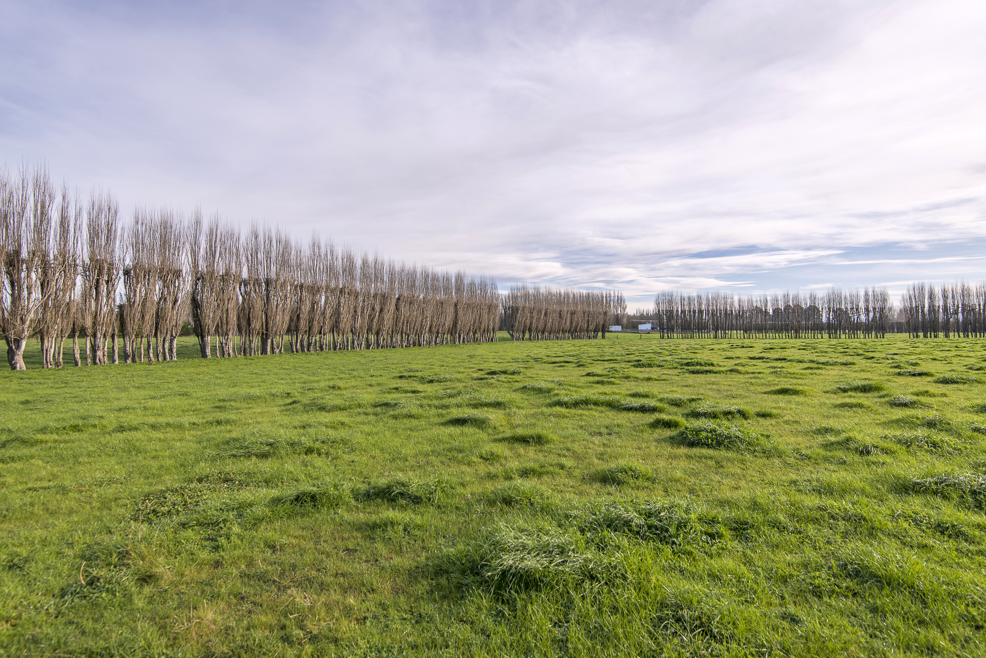 10 Jelfs Road, Woodend, Waimakariri, 0 chambres, 0 salles de bain