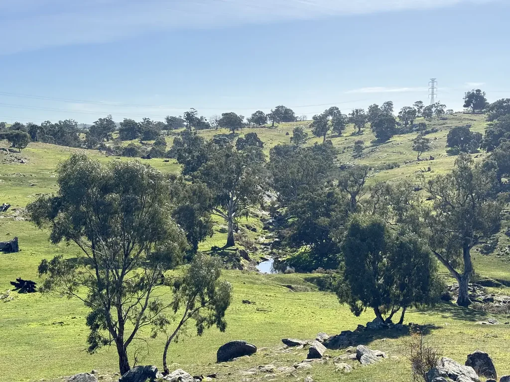 Tungkillo 38.2 Hectares of space, nature and country. Elevated views over ancient Red Gums. Spectacular home sites (STCC).