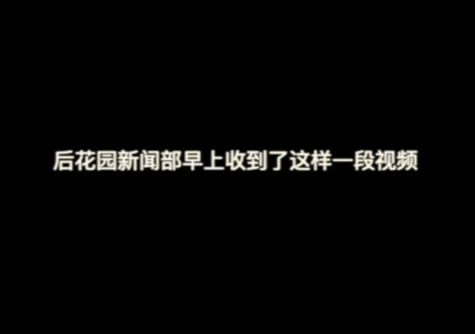 一个12岁孩子制作的视频 面对疫情, 新西兰的学生给出了这样的答案