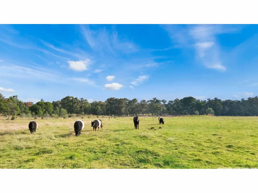 Sarsfield  Large Acreage Close to Bairnsdale