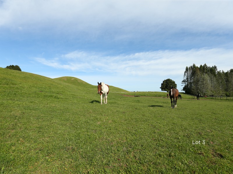 1461 Poihipi Road, Oruanui, Taupo, 0 침실, 0 욕실