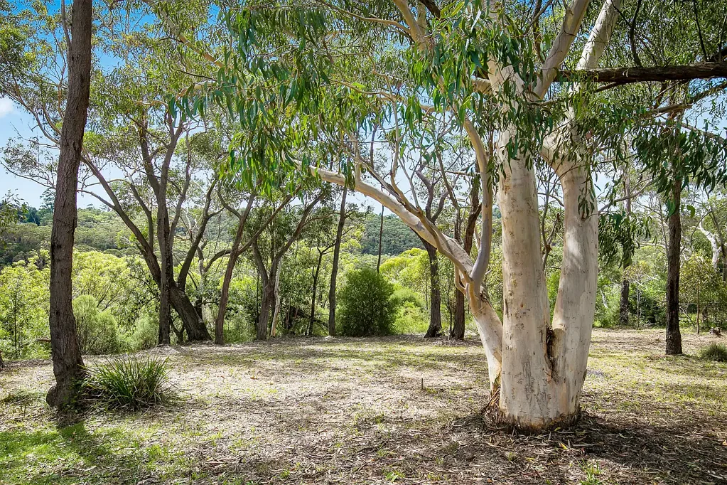 Woodford Tranquil bush setting in an established area