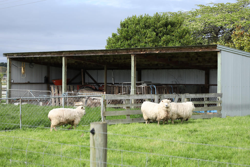 263 Findlay Road, Ascot, Invercargill, 4 Bedrooms, 0 Bathrooms