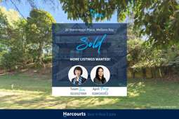 20 Montressor Place, Mellons Bay