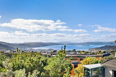 11 Monteith Grove, Brooklyn, Wellington, 3房, 2浴, House