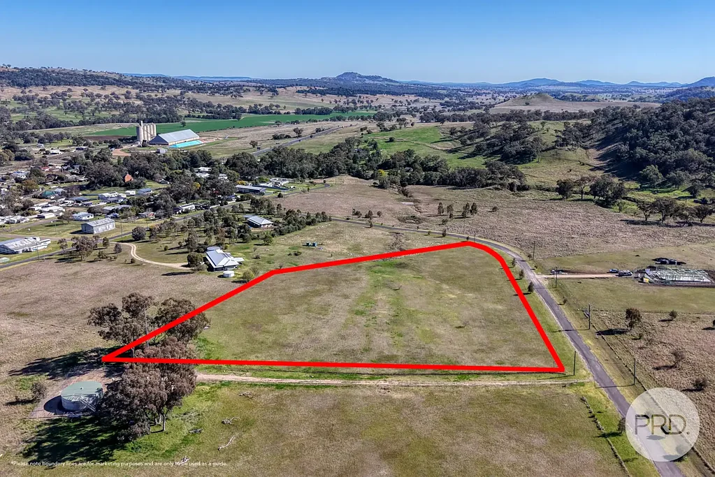 6 Raphie Howard Drive, Willow Tree, NSW 2339