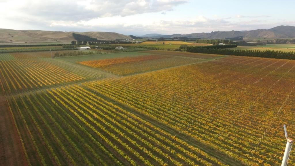 Te Muna Road, Martinborough, South Wairarapa, 0 غرف, 1 حمامات