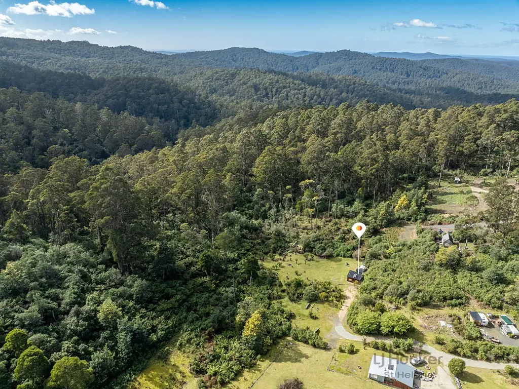 Lottah A Peaceful Off-Grid Escape