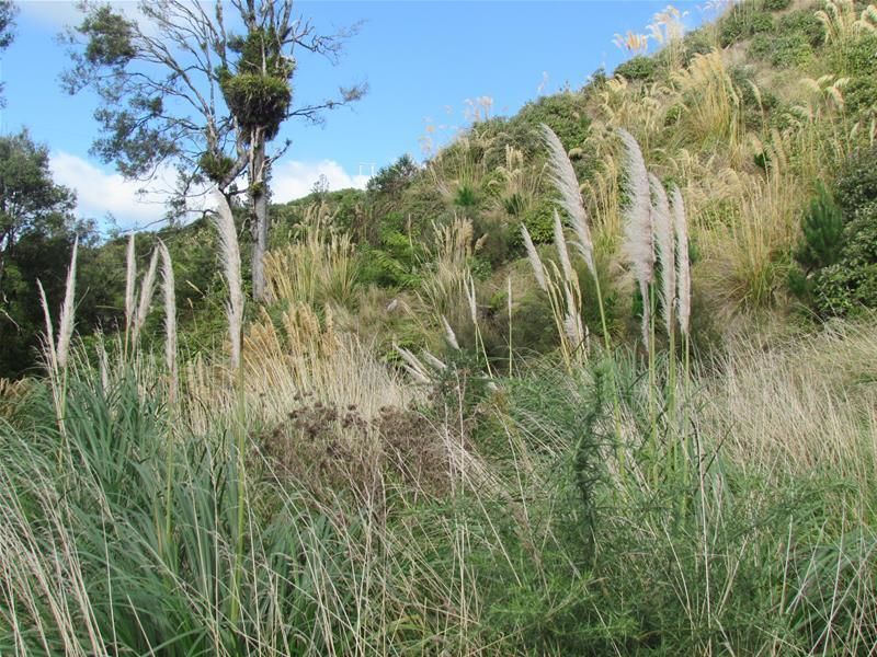 Okahutiria Road, Waverley, South Taranaki, 0 Kuwarto, 1 Banyo