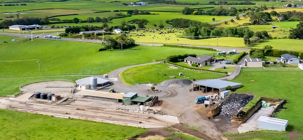 Hawera  Exceptional Dairy farm in key location