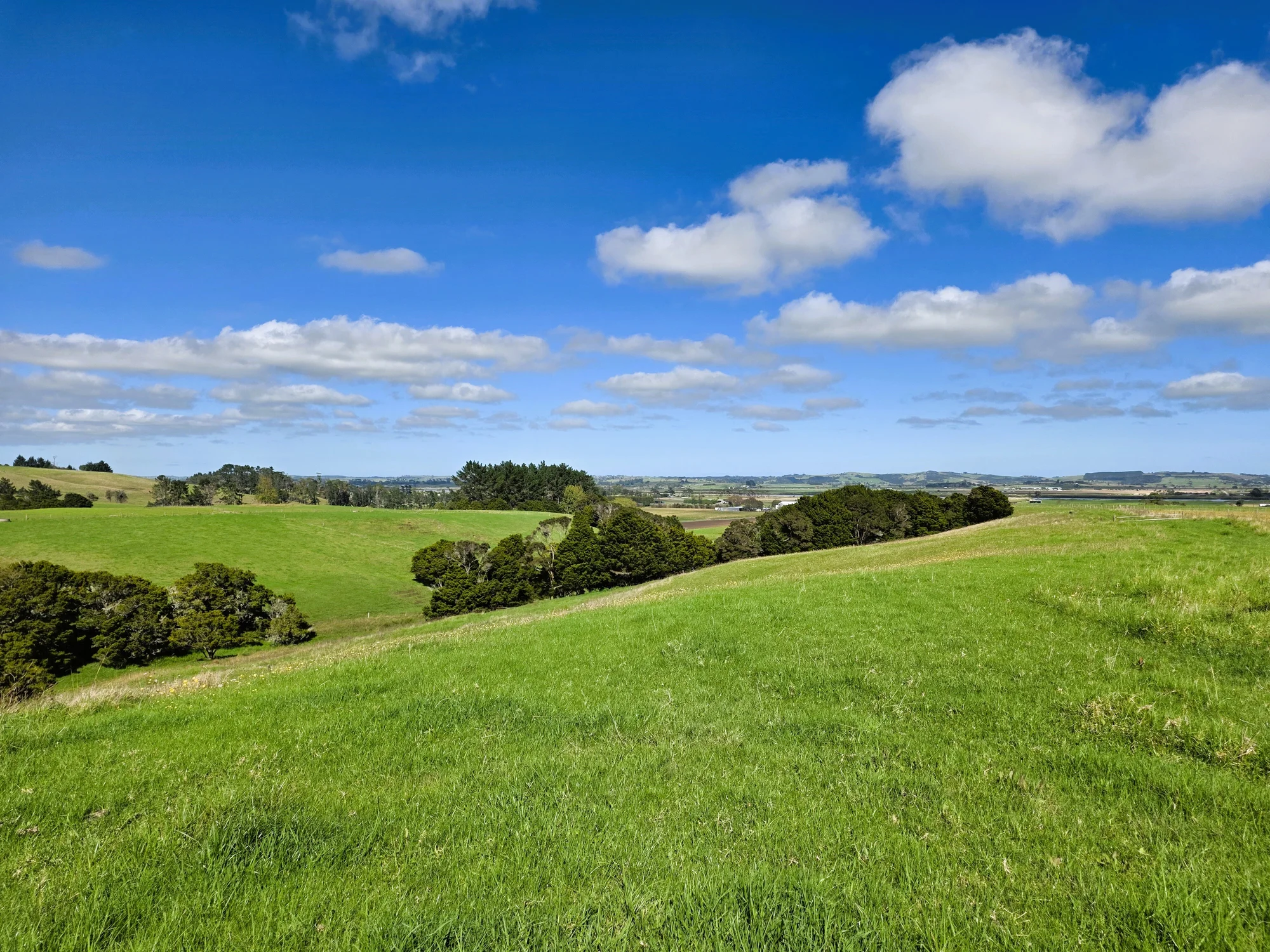 6320 State Highway 12, Dargaville, Kaipara, Northland, 0房, 0浴, Finishing