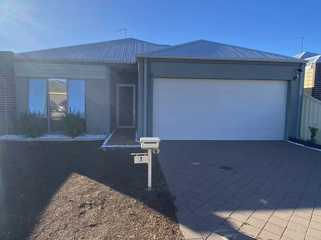 Settle in Singleton!