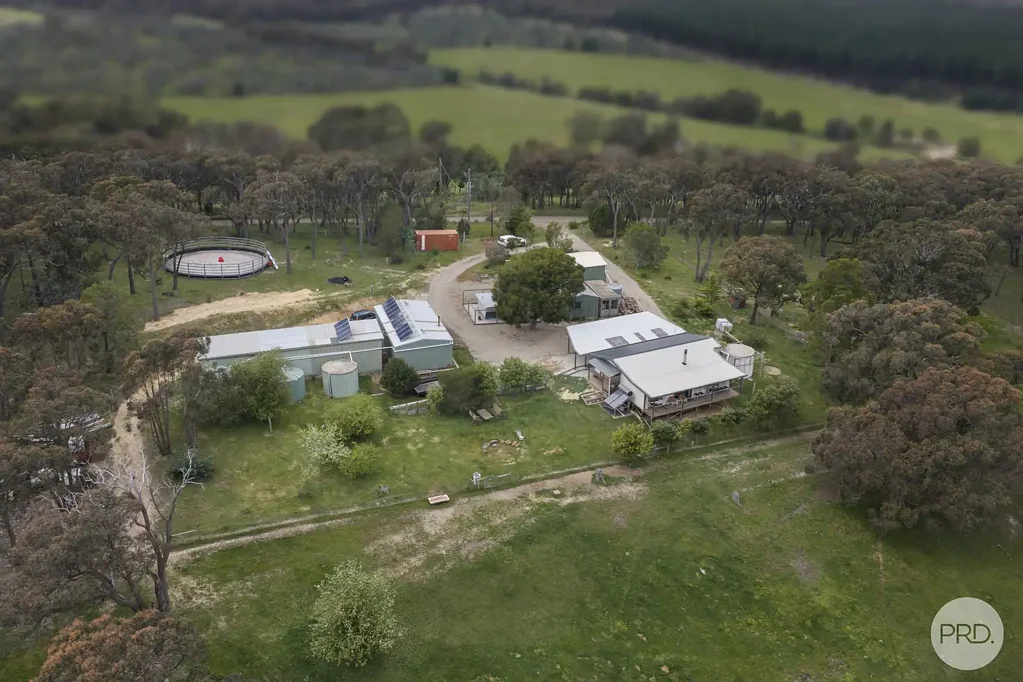 Raglan 3 Bedroom Country Living at Its Finest - Space, Views & Lifestyle