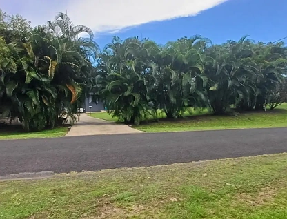 12 George Street, Flying Fish Point, Cairns, 3 침실, 2 욕실, House