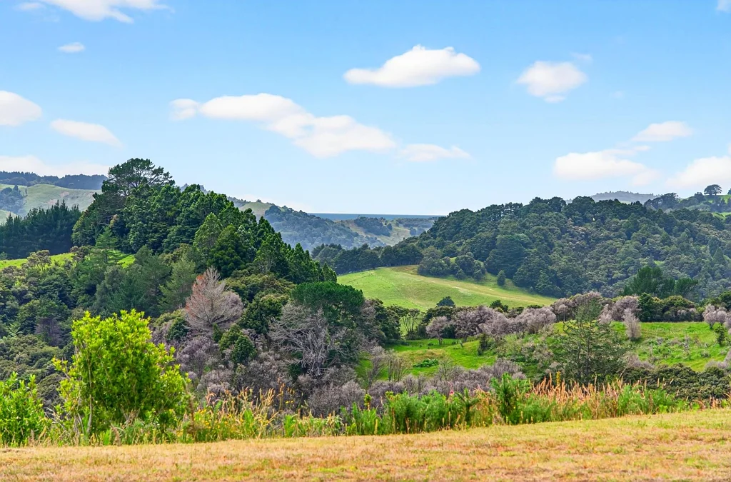 Puhoi Beautiful Valley Vistas - Annabelle Farm