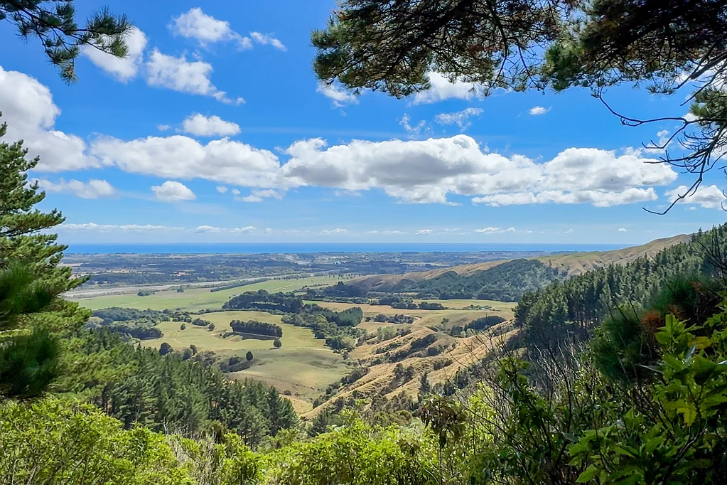 Otaki Kaitawa Native Forest Retreat